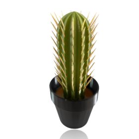Cactus Toothpick Holder
